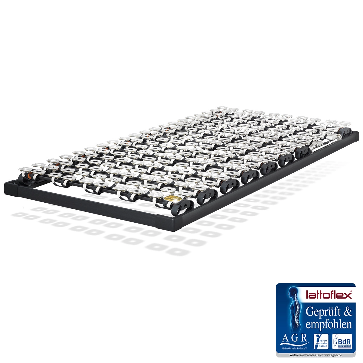 Lattoflex Rahmen 300.