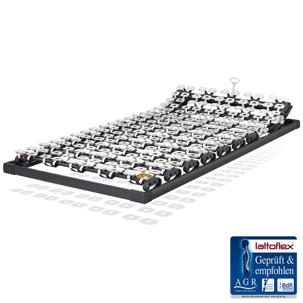 Lattoflex Rahmen 310.